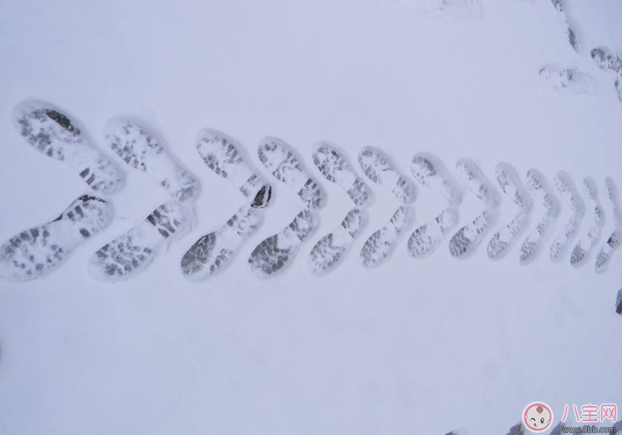 今日大雪發什么朋友圈好 2017大雪發朋友圈說說圖文推薦 今日大雪發什么朋友圈好 2017大雪發朋友圈說說圖文推薦