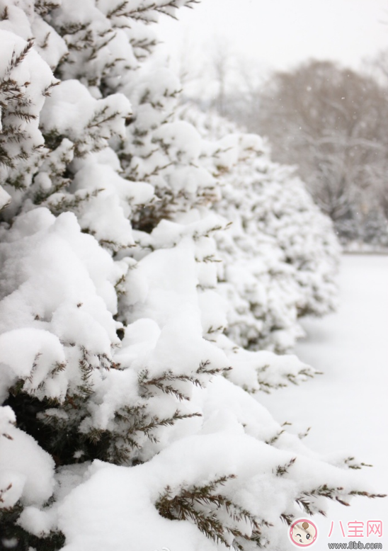 今日大雪發什么朋友圈好 2017大雪發朋友圈說說圖文推薦 今日大雪發什么朋友圈好 2017大雪發朋友圈說說圖文推薦