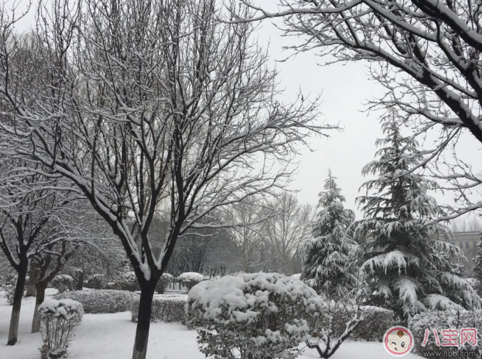 今日大雪發什么朋友圈好 2017大雪發朋友圈說說圖文推薦 今日大雪發什么朋友圈好 2017大雪發朋友圈說說圖文推薦