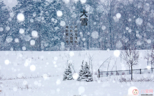 大雪節(jié)氣出生的人命好不好 大雪出生的人有什么征兆