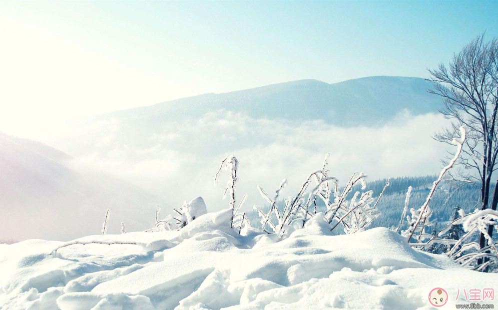 大雪節(jié)氣出生的人命好不好 大雪出生的人有什么征兆