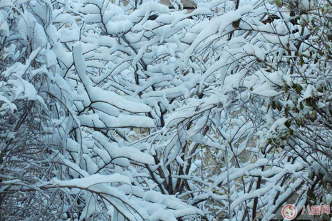 第一次看到下雪了發(fā)什么說說好 今年的第一場雪朋友圈怎么發(fā)