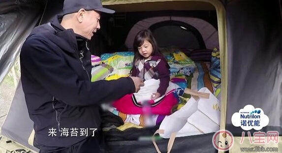 應(yīng)采兒自爆備孕二胎  軟萌Jasper會(huì)失寵嗎