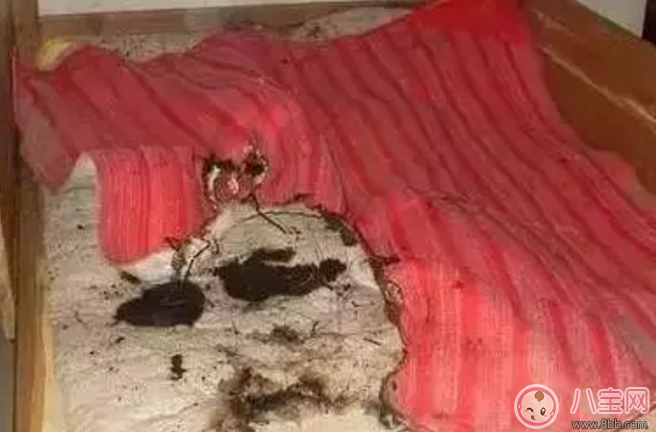 寶寶尿在電熱毯上會漏電嗎 寶寶冬天用電熱毯好不好