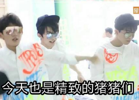 精致的豬豬男孩是什么梗 精致的豬豬男孩表情包