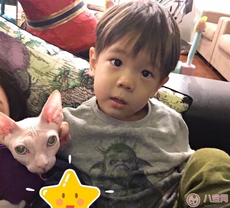 不讓小主人碰烤箱的貼心喵 寶寶適合跟貓一起玩嗎