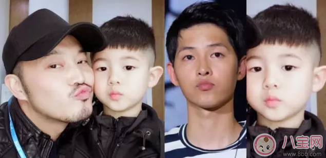 為什么叫鯽魚兄弟 鯽魚兄弟是什么意思(安吉小魚兒)