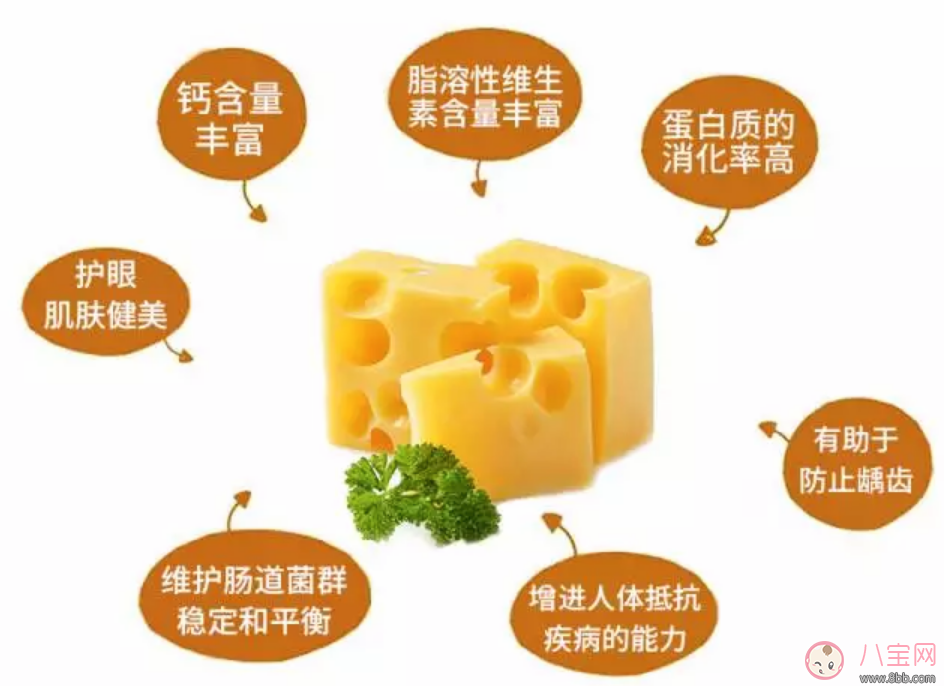 酪藝海魚芝士小食寶寶吃可以補鈣和蛋白質嗎   酪藝海魚芝士小食完整版測評