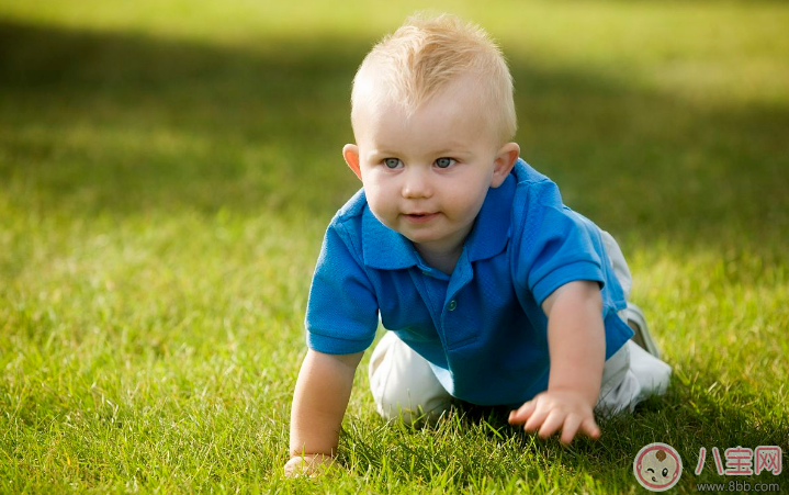 小孩不會爬直接會走有什么影響嗎  寶寶爬行有哪些好處
