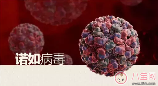 諾如病毒和腹瀉有什么區別 怎么護理得諾如病毒的孩子