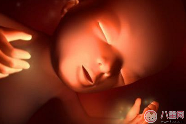 帶寶寶擔心經濟更不上怎么辦 要不要和孩子說家里條件不好 帶寶寶擔心經濟更不上怎么辦 要不要和孩子說家里條件不好