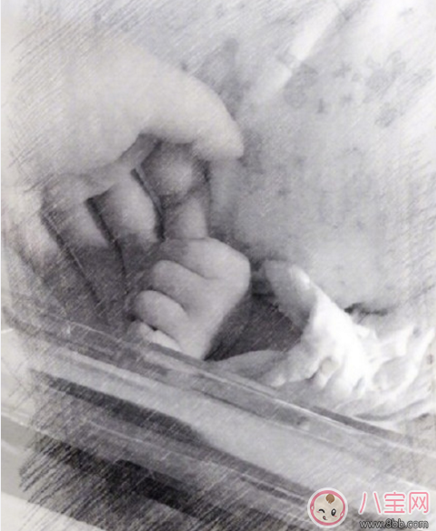 侯佩岑小兒子ABO溶血癥是蠶豆癥嗎  如何進行ABO溶血癥檢查