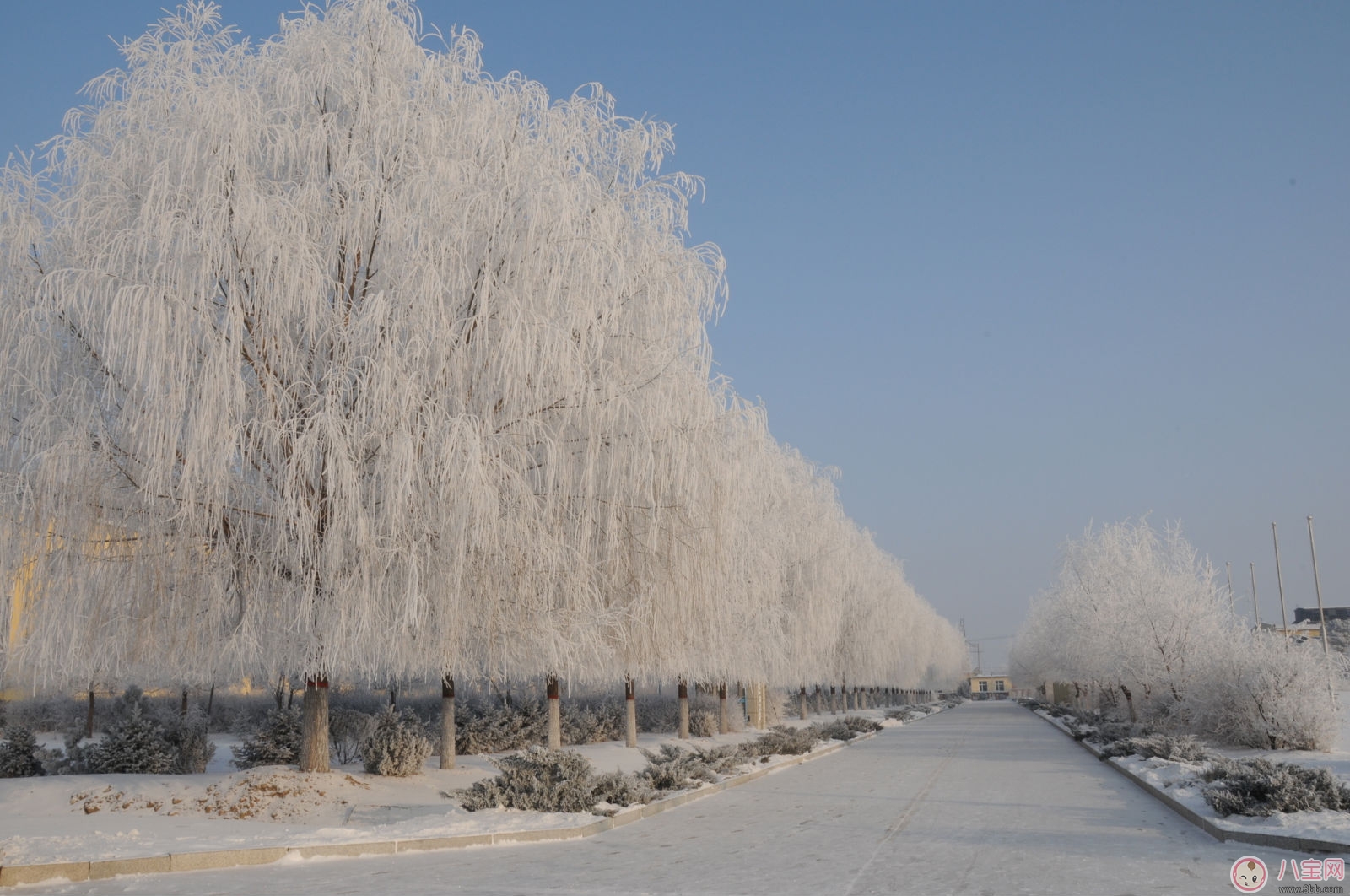 冬至的習俗有哪些 冬至節氣由來的傳說 冬至的習俗有哪些 冬至節氣由來的傳說