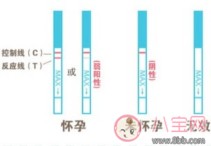 排卵試紙使用方法圖解 排卵試紙強陽后什么時候排卵