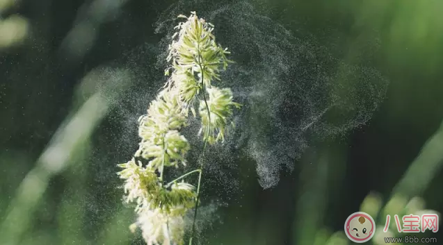 孩子過敏起疙瘩掛什么科 孩子過敏看什么醫生好