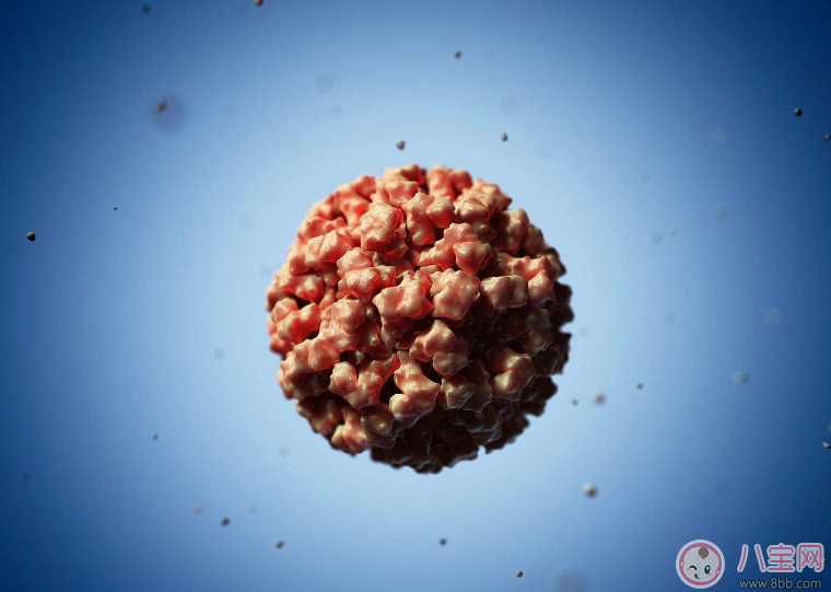 諾如病毒傳播途徑是什么 諾如病毒會傳染給大人嗎