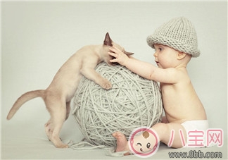 八字算命如何算出有幾個兄弟姐妹 八字怎么看兄弟姐妹個數 八字算命如何算出有幾個兄弟姐妹 八字怎么看兄弟姐妹個數