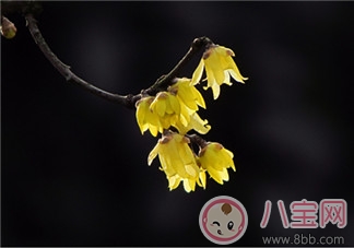 2018今日立春配圖句子說說朋友圈   今日立春節氣心情說說短語