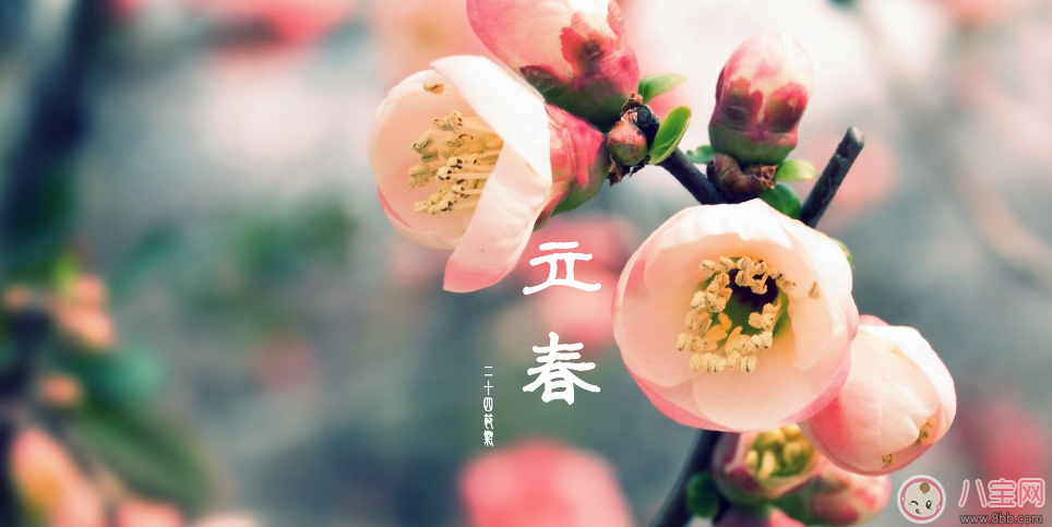 2018今日立春配圖句子說說朋友圈   今日立春節氣心情說說短語