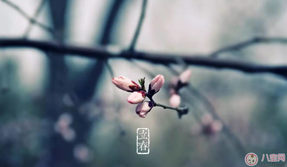 2018今日立春配圖句子說說朋友圈   今日立春節氣心情說說短語