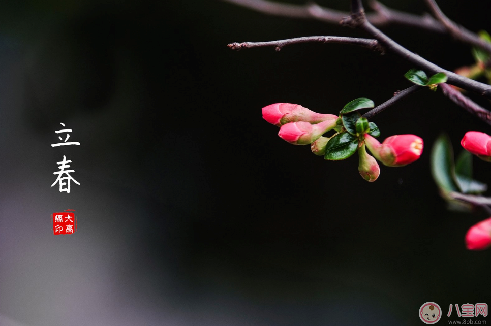 2018立春時(shí)節(jié)問候祝福語說說 2018立春節(jié)氣祝福說說句子 2018立春時(shí)節(jié)問候祝福語說說 2018立春節(jié)氣祝福說說句子