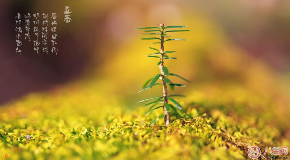 2018立春時(shí)節(jié)問候祝福語說說 2018立春節(jié)氣祝福說說句子 2018立春時(shí)節(jié)問候祝福語說說 2018立春節(jié)氣祝福說說句子