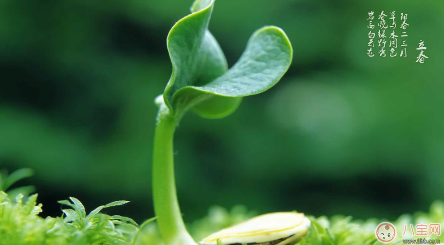 2018立春時(shí)節(jié)問候祝福語說說 2018立春節(jié)氣祝福說說句子 2018立春時(shí)節(jié)問候祝福語說說 2018立春節(jié)氣祝福說說句子