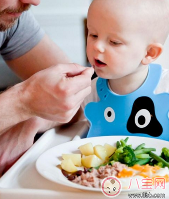 寶寶不愛吃菜怎么辦   如何解決孩子挑食