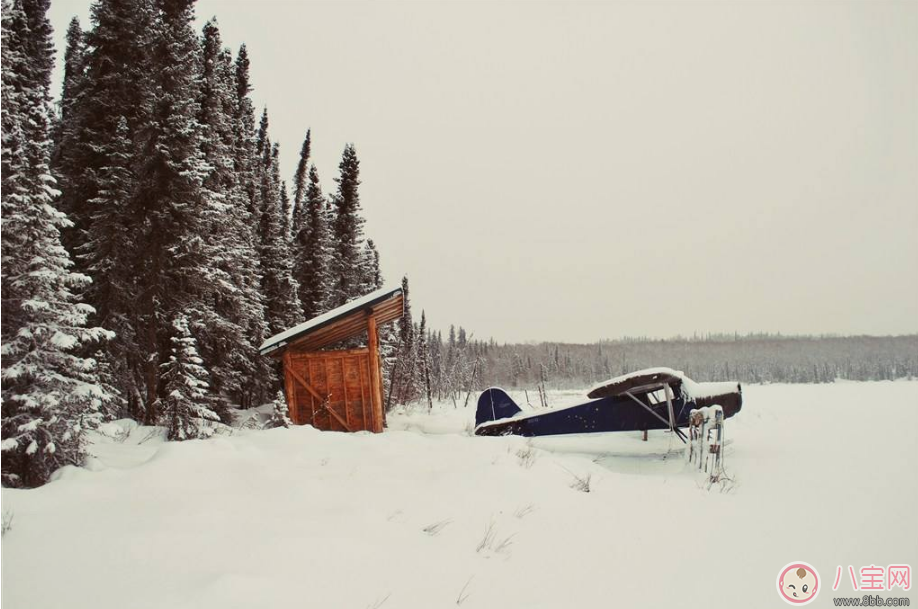形容第一次看見雪的心情句子 第一次見到雪心情短語說說朋友圈 形容第一次看見雪的心情句子 第一次見到雪心情短語說說朋友圈