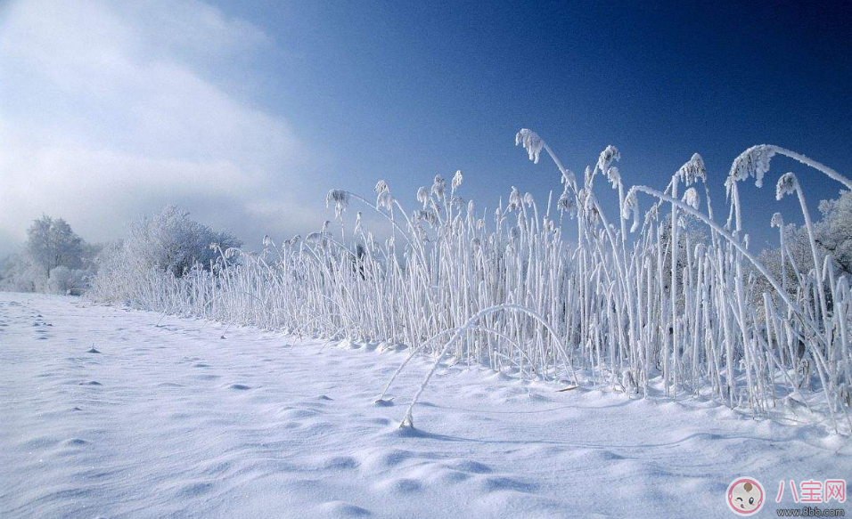 大寒怎么發朋友圈配圖 2018大寒發朋友圈短句簡單評論