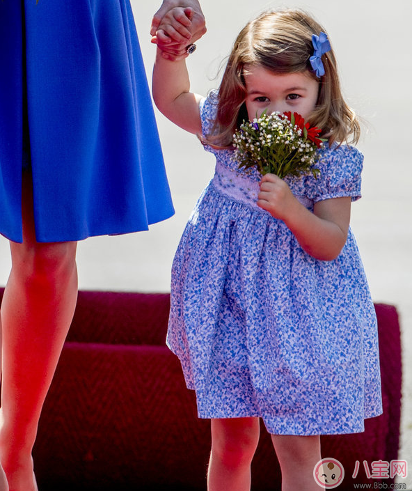 夏洛特小公主上什么幼兒園   為什么夏洛特與哥哥的幼兒園選擇不一樣
