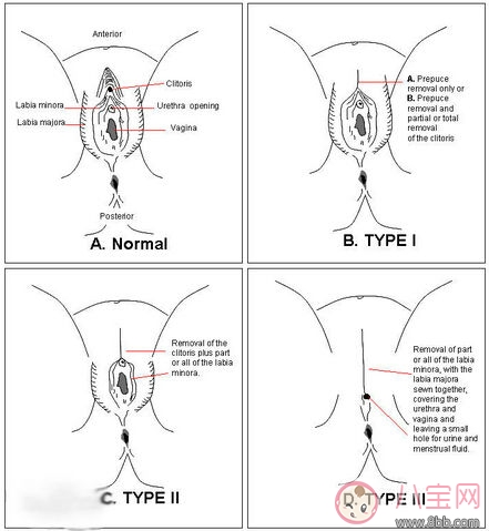 自慰棒棒使用方法圖解 女性第一次買自慰棒怎樣用