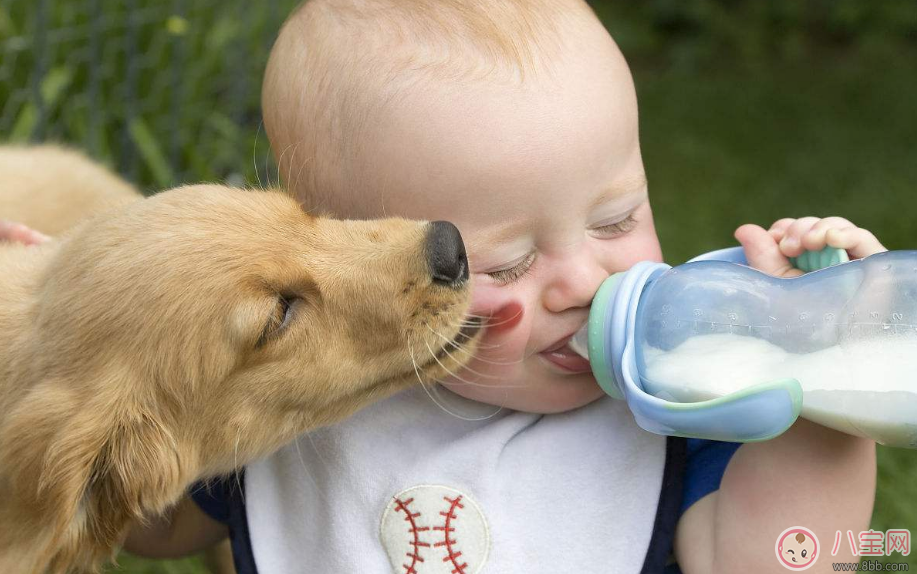 拉奶瓣和奶粉有關系嗎   拉奶瓣是奶粉不合適嗎