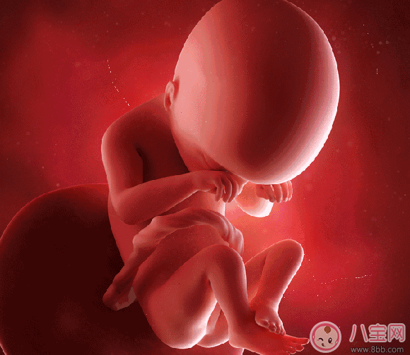 胎寶寶發脾氣有哪些癥狀 胎寶寶為什么會發脾氣