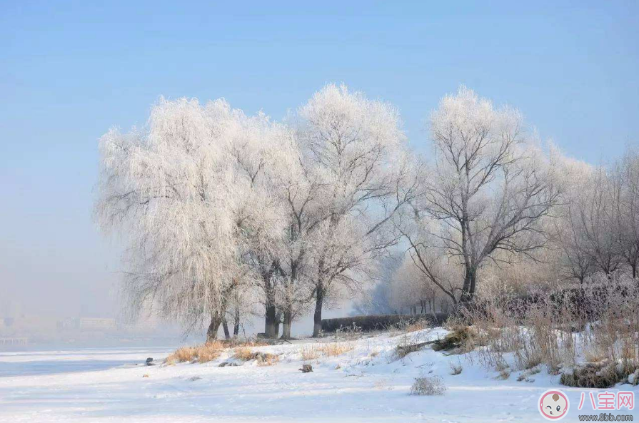 2018大寒出生的寶寶好嗎  大寒出生的人命運怎么樣