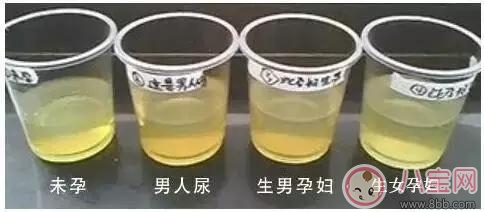 酒精測試生男生女靠譜嗎 酒精測試生男生女步驟詳解 酒精測試生男生女靠譜嗎 酒精測試生男生女步驟詳解