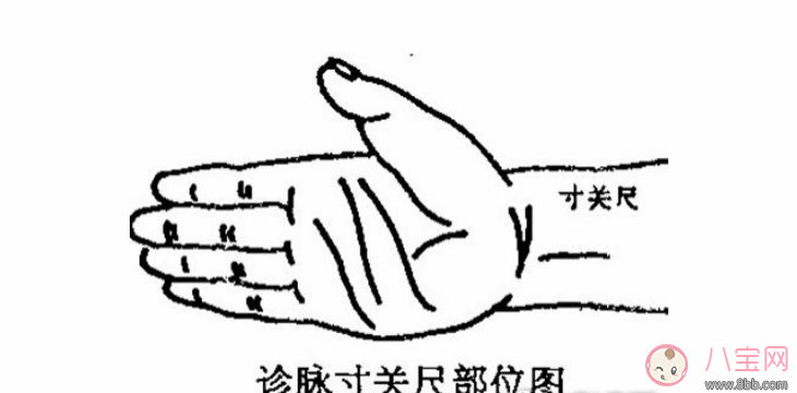 孕婦左手脈搏跳動快生男孩嗎 孕婦把脈說脈搏跳得快是男孩嗎