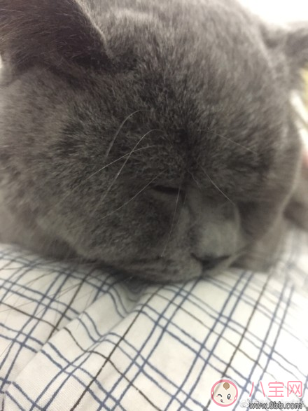 孩子生病心情短語 心疼寶寶生病的說說	