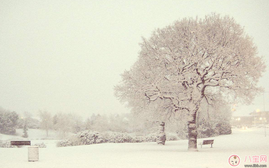 大寒時節(jié)問候祝福說說 今日大寒說說朋友圈內(nèi)容推薦