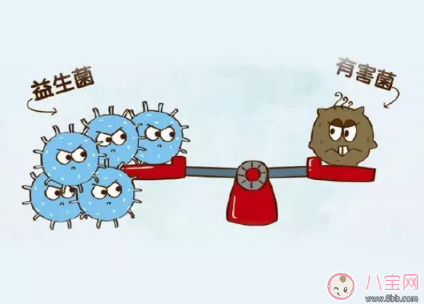 合生元益生菌原味和奶味區別 合生元益生菌原味和奶味哪個好