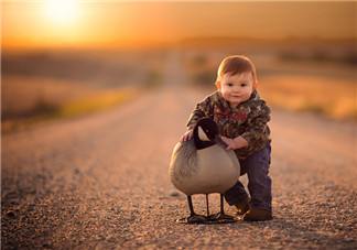 曬娃如何寫優(yōu)雅的文字 如何在旅行中優(yōu)雅地曬娃