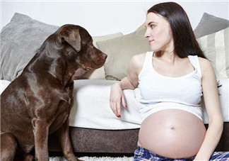 孕吐和生男生女有關系嗎 孕吐厲害生女孩的幾率大嗎