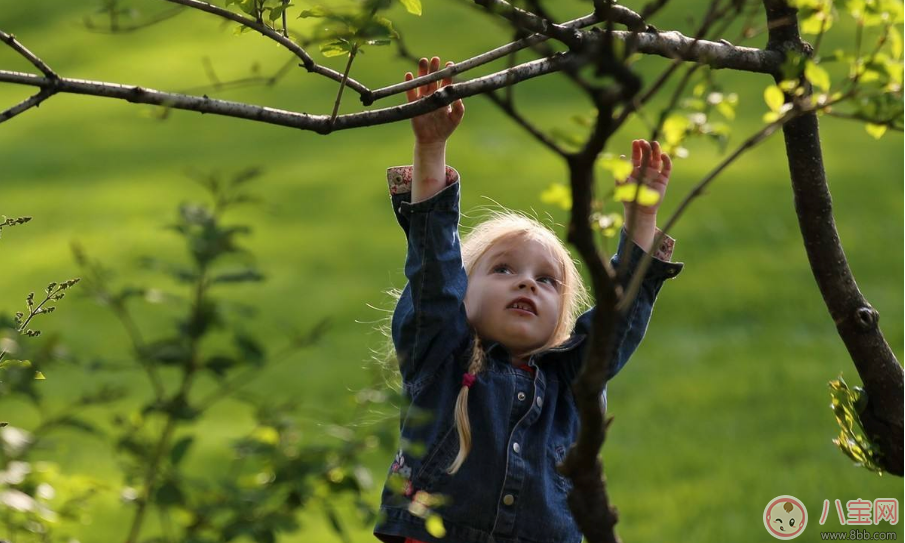 農歷臘月出生的人命運好不好 臘月出生的寶寶是什么命