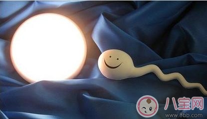 精子存活率低會影響懷孕嗎 精子存活率低可以做試管嗎