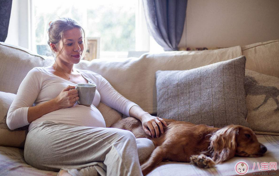 孕婦鼻子變大就是兒子嗎 懷孕為什么鼻子會變大