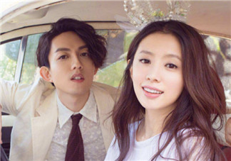 林宥嘉妻子丁文琪懷的男寶寶嗎 林宥嘉妻子預產期是什么時候