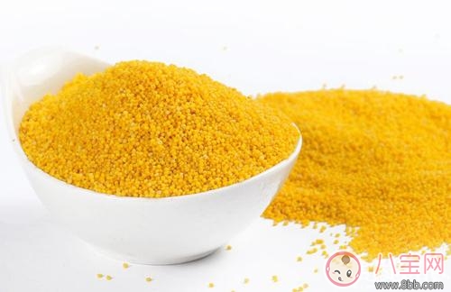 腸胃不好吃什么食物調理好 腸胃不好有哪些禁忌