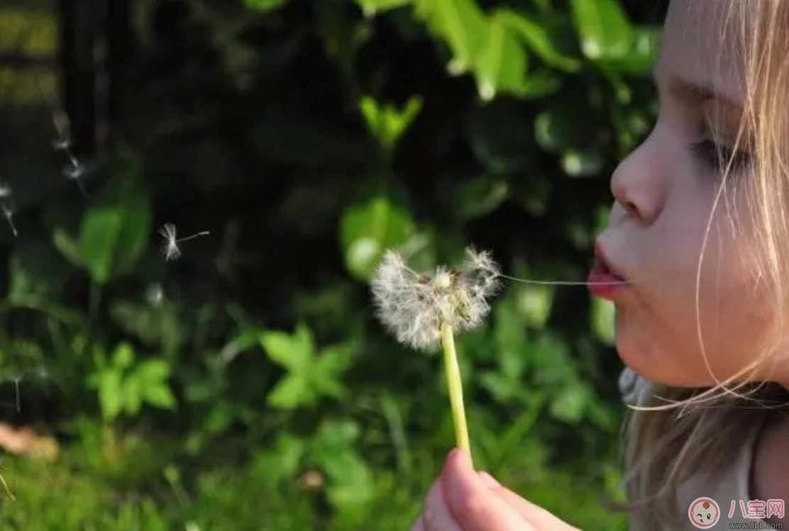 怎樣鍛煉孩子的自立能力 孩子從小要培養(yǎng)哪些能力