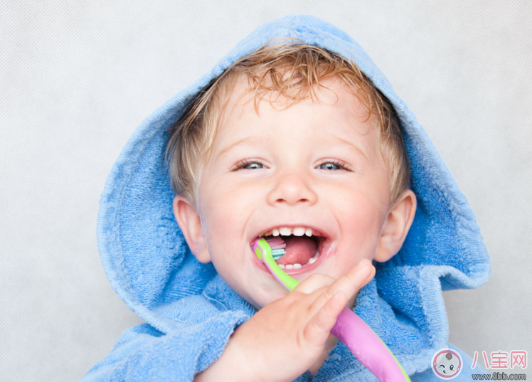 寶寶不愛刷牙怎么辦 寶寶可以選用電動牙刷嗎