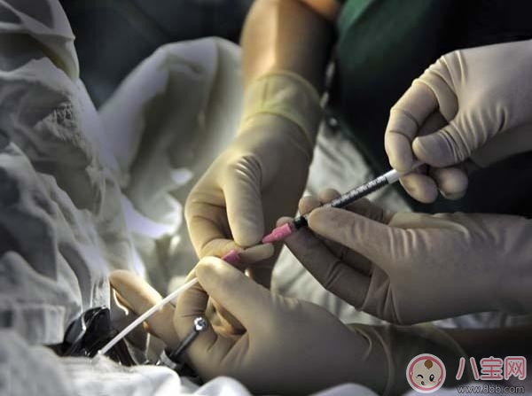 人工授精和試管嬰兒的區(qū)別在哪里 人工授精和試管嬰兒哪個(gè)成功率高